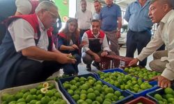 İlekler, tezgahta incelendi