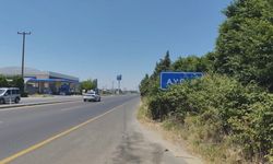 Kentin Vitrini Çalıların Ardında Kaldı