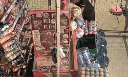 Kuşadası'nda Pes Dedirten Soygun