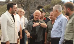 Çine yangının acı bilançosu