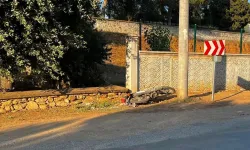 Askerden gelen genç kazada can verdi