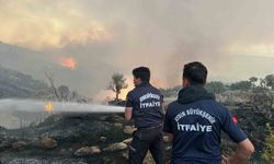 Aydın İtfaiyesinden 1 Haftada 446 yangına müdahale