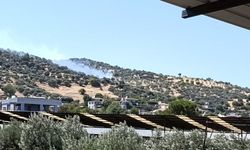 Bozdoğan'da zirai alan yangını