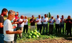Cincin’de karpuz hasadı dualarla başladı