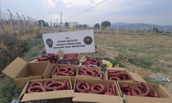 Bize yedirmek istediklerine bakın!