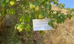 Germencikli Çiftçiden Örnek Davranış
