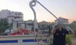 Eve giren dev yılan paniğe yol açtı