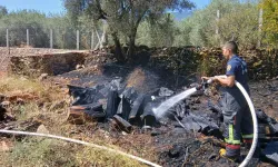 Karacasu'daki yangında odunlar yandı, komşular birbirine girdi