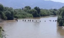 Şahin'e ulaşmak için büyük seferberlik