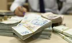 3 milyon TL'nin getirisi şaşırttı