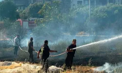 Nazilli’de kuru otlar alev aldı