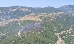 Kuyucak'taki yangından iyi haber, kontrol altına alındı