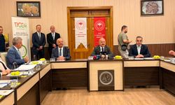 Vali Varol'dan incir sektörüne yönelik kritik değerlendirme