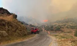 Yangın bölgesinde hırsızlık alarmı