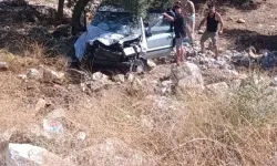 Direksiyon hakimiyetini kaybetti zeytinliğe uçtu