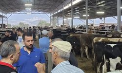 Hayvan pazarlarında sıkı denetim