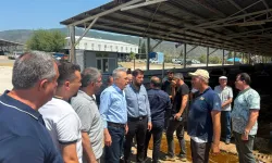 AK Parti Aydın Heyeti Çine Hayvan Pazarın’da!