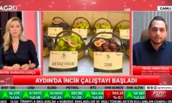 Aydın inciri için 100 milyon liralık kaynak açıklandı