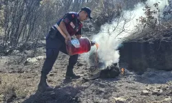 Aydın Jandarmasından cansiparane müdahale