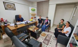 AYTO'dan incirde hamle