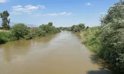 Aydın’da çiftçilere kötü haber