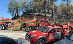 Bozdoğan'da çıkan yangına ekiplerden hızlı müdahale