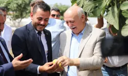 Başkan Çapakçıoğlu üreticinin sesi oldu