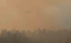 Aydın'da yangın bölgesi için önemli uyarı