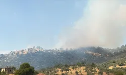 Çine’deki orman yangını kontrol altında!
