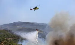 Aydın'daki yangın 32 saatte kontrol altına alındı