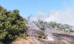Çine'de alevler yeniden yükseldi!