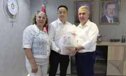 Çinli içerik üreticileri incir hasadına katıldı