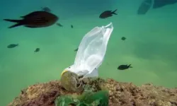 Akdeniz'in mavi kıyılarında plastik yoğunluğu