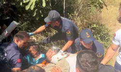 Traktör şarampole devrildi sürücü altında kaldı