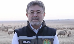 Bakan Yumaklı Aydın'daki yangının son durumunu açıkladı