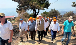 TZOB Başkanı Şemsi Bayraktar Çine’de yangın bölgesinde
