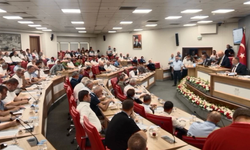 Mecliste kritik karar: İlaçlama 2027'de Büyükşehir'e geçiyor