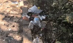 Milli Park'ta çöp isyanı