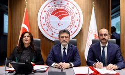 Yeni proje yıl sonunda tamamlanıyor