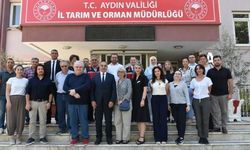 Aydın incirinin gıda güvenliği mercek altında