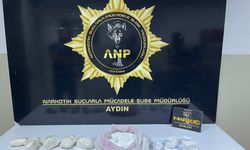 Aydın’da uyuşturucu operasyonu