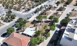 Zeytin Park projesi hızla ilerliyor