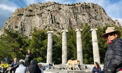 Doğaseverler Priene Antik Kenti'ne dikkat çekti