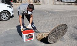 Efeler Belediyesi’nden ilaçlama çalışması