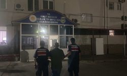 Ormanlık alanda kenevir yetiştiren şüpheli yakalandı