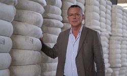 TARİŞ Pamuk alım fiyatı 102 lira olarak açıklandı