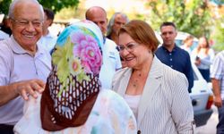Didim'de zeytin üreticisine müjde çıktı
