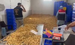 Milyonluk kuru incir operasyonunda dev ceza