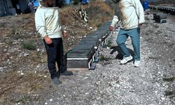 Arıcılığın gelişimi için çalışmalar sürüyor