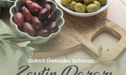 Didim'de zeytin pazarı açılıyor